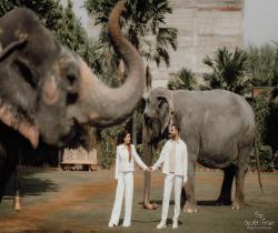 wedding photography in india