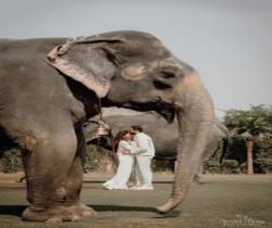 wedding photography in india