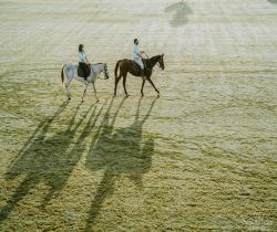 wedding photography in india