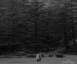 wedding photography in india